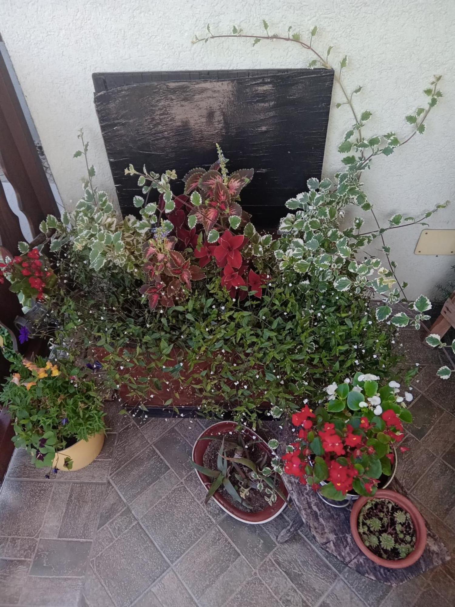Apartman Bepo Gospić Dış mekan fotoğraf